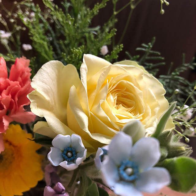 CoffeeHouseさんの部屋