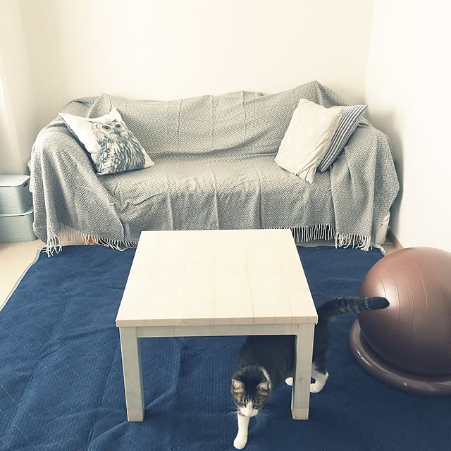 miruさんの実例写真
