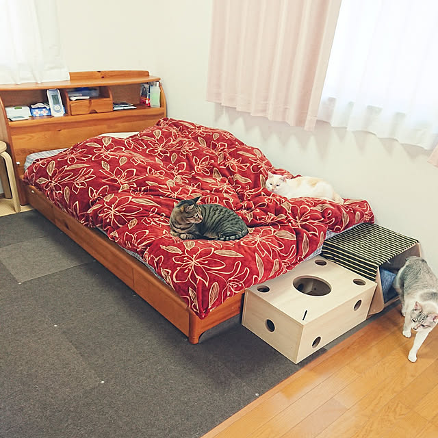 nachiさんの実例写真