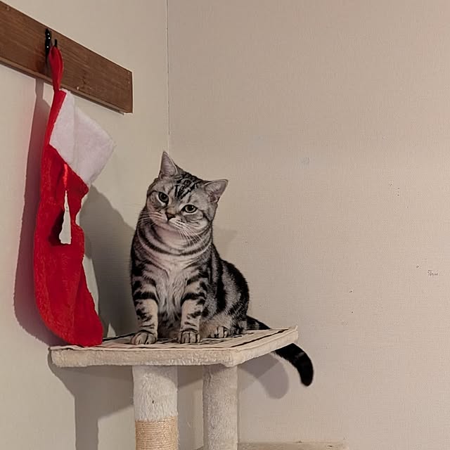 lovepeaceさんの部屋