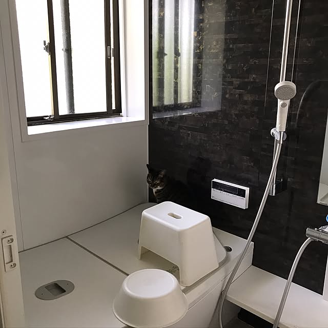 sakuraさんの実例写真