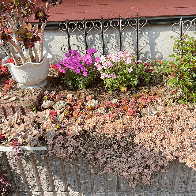 mukkuさんの実例写真