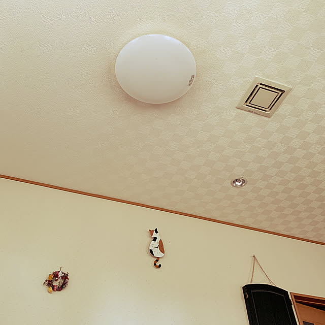 ダイソー/部屋全体のインテリア実例 - 2019-04-01 12:41:53