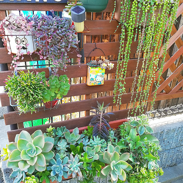 VERANDARJUNさんの実例写真