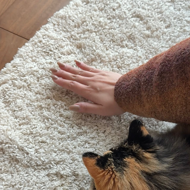 kyoro_homeさんの部屋