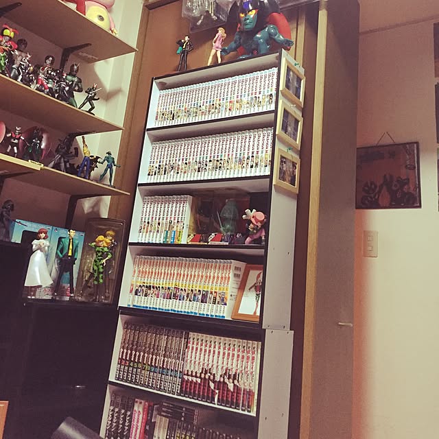 KAMENRIDER009さんの実例写真