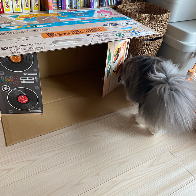 momongaさんの部屋