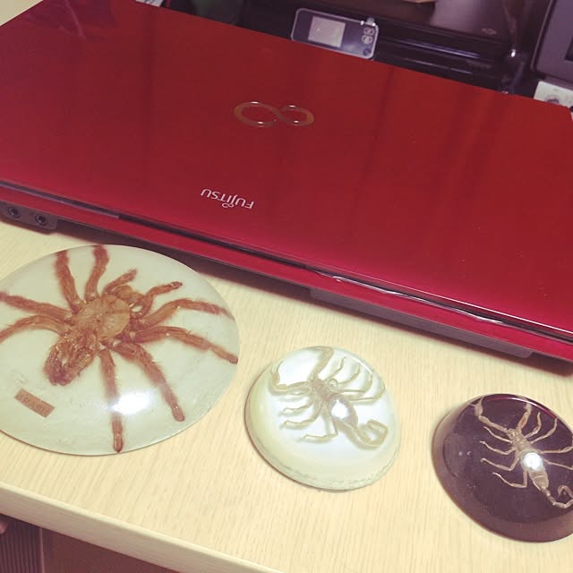 nikoriさんの実例写真