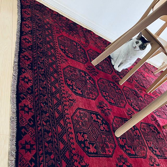 RARAさんの実例写真