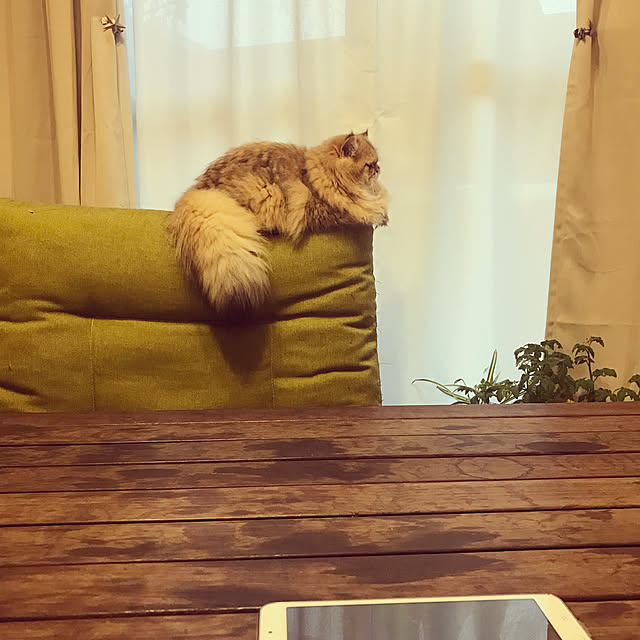 ichonさんの実例写真