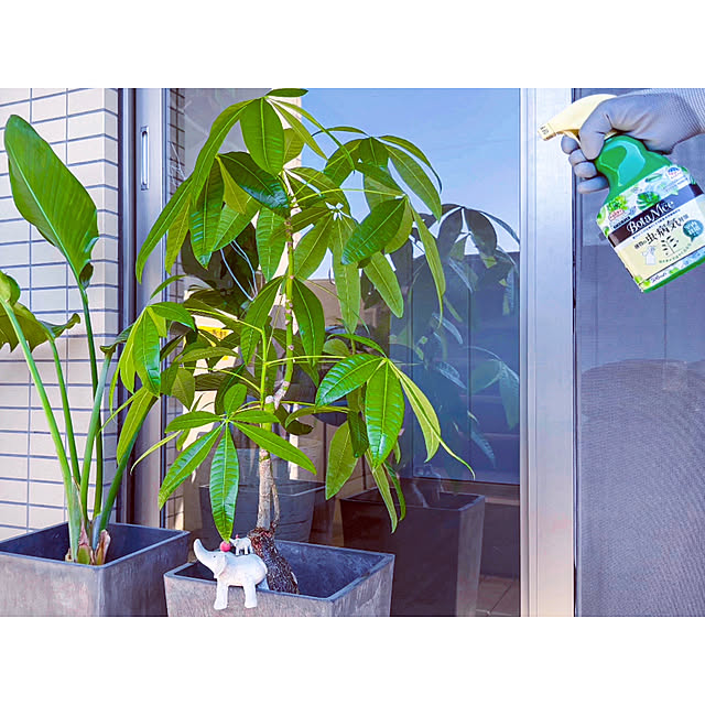teracoyaWORLDさんの部屋