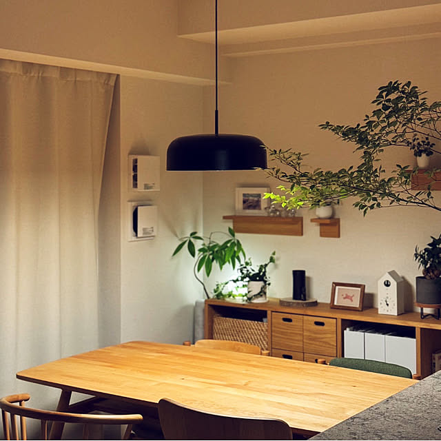 Anthuriumさんの部屋