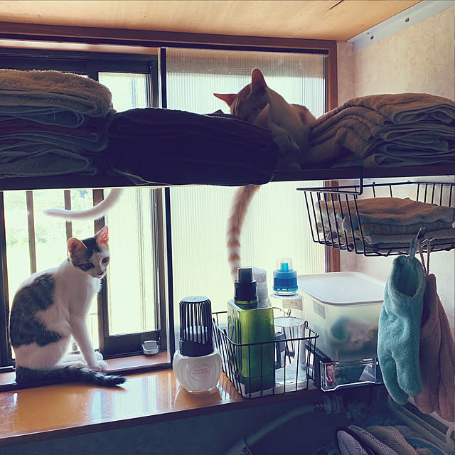 simayaさんの実例写真