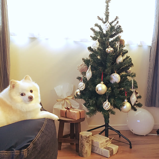リビング/クリスマス/カフェ風/かわいい/大阪...などのインテリア実例 - 2017-11-16 21:06:00