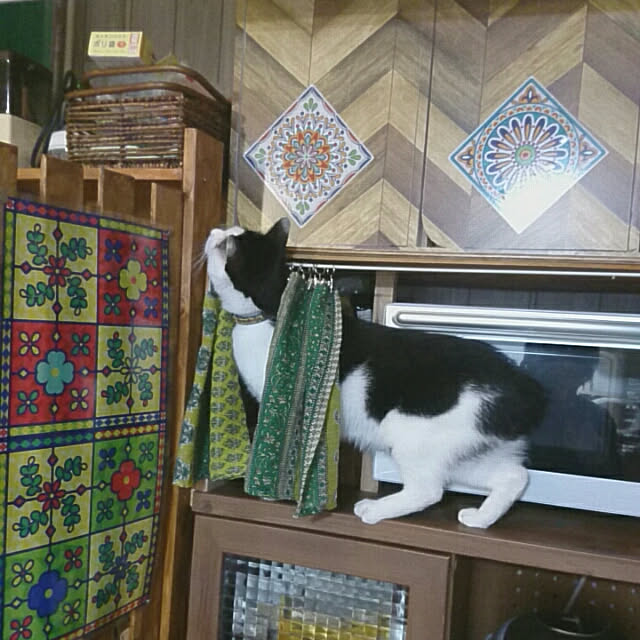 SHIHOさんの実例写真