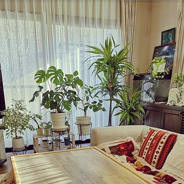 ku-garnet18さんの部屋