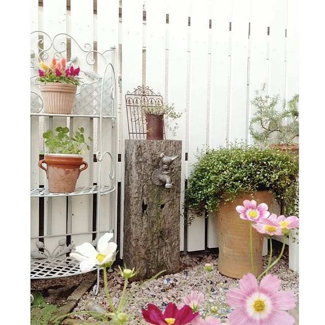 mooさんの実例写真
