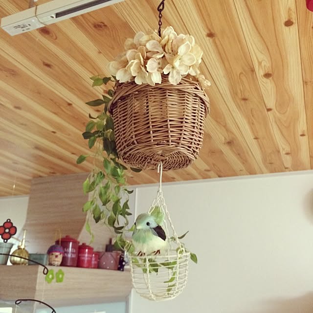 akikoさんの実例写真