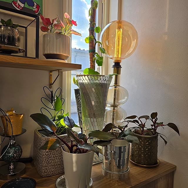 nonbiri_house_さんの部屋