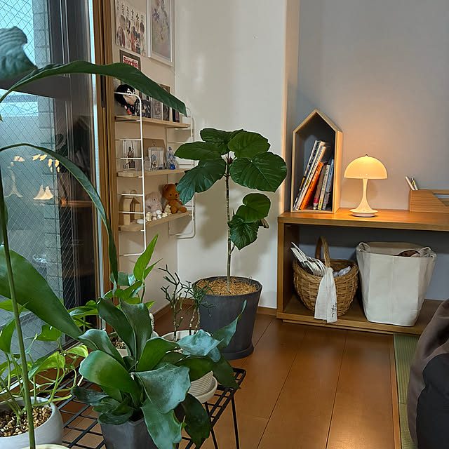 sakiさんの実例写真