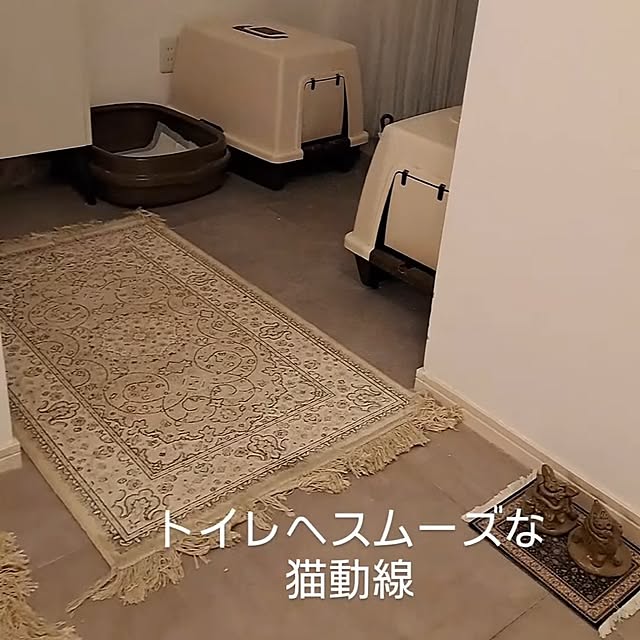kankanmom_horn_5catsさんの部屋