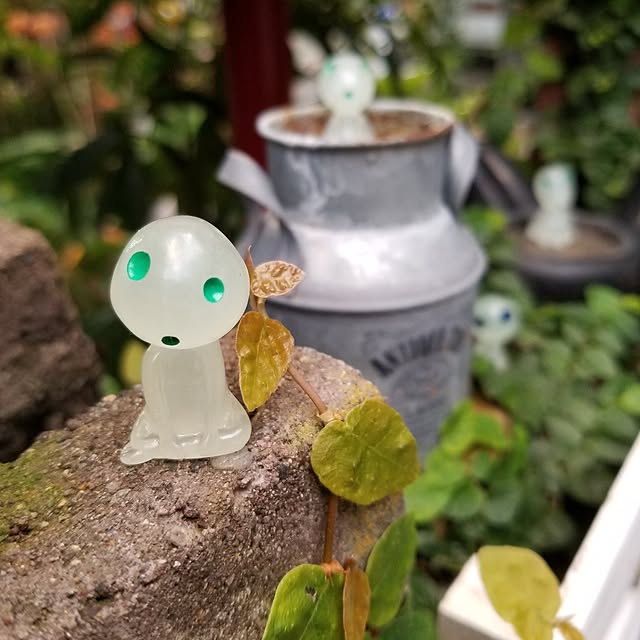 midoriさんの部屋