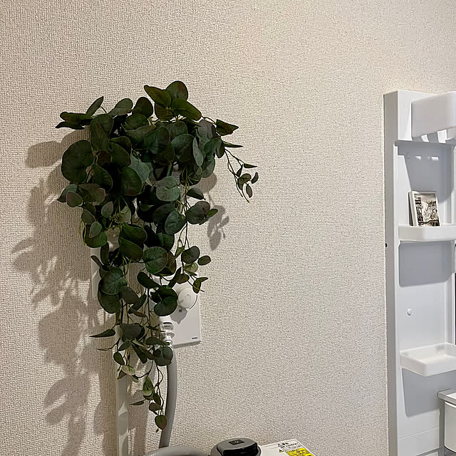 Riraさんの実例写真