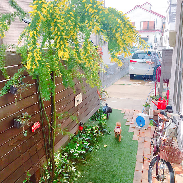 risaさんの実例写真