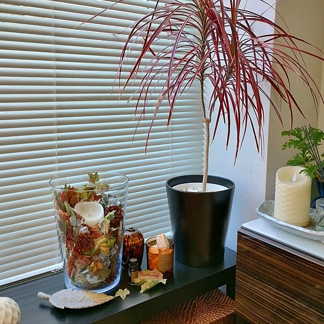 jinさんの実例写真