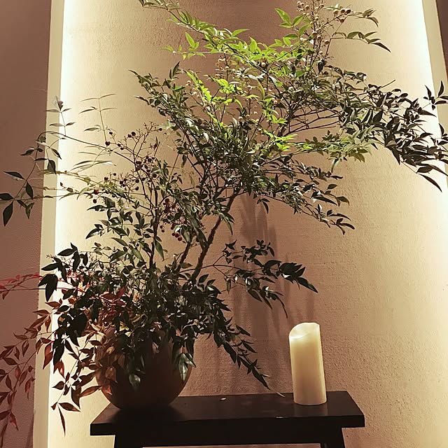 玄関/入り口/照明/観葉植物/ナチュラルのインテリア実例 - 2016-12-26 18:36:02