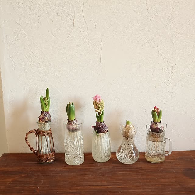 S.homeさんの実例写真