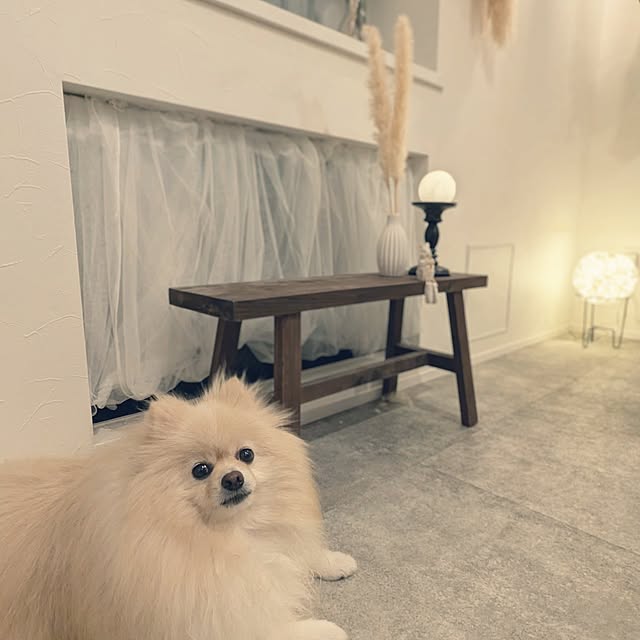 noahさんの部屋