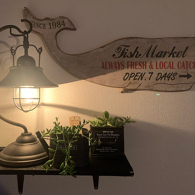 観葉植物/雑貨/多肉植物/男前/ベッド周りのインテリア実例 - 2022-04-27 20:30:27