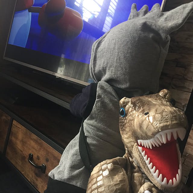 k15kさんの実例写真