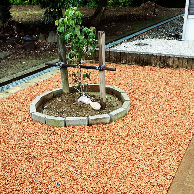 yoikoさんの実例写真