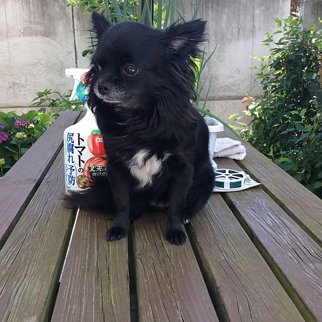 Akiraさんの実例写真