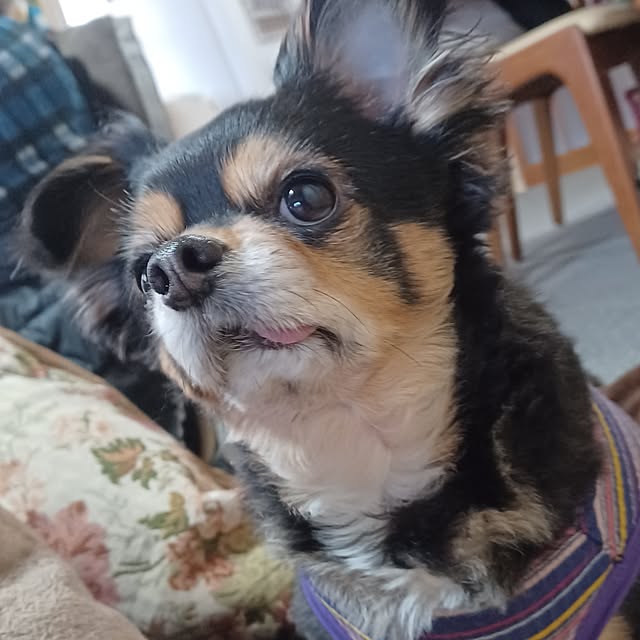 hiro.904さんの実例写真