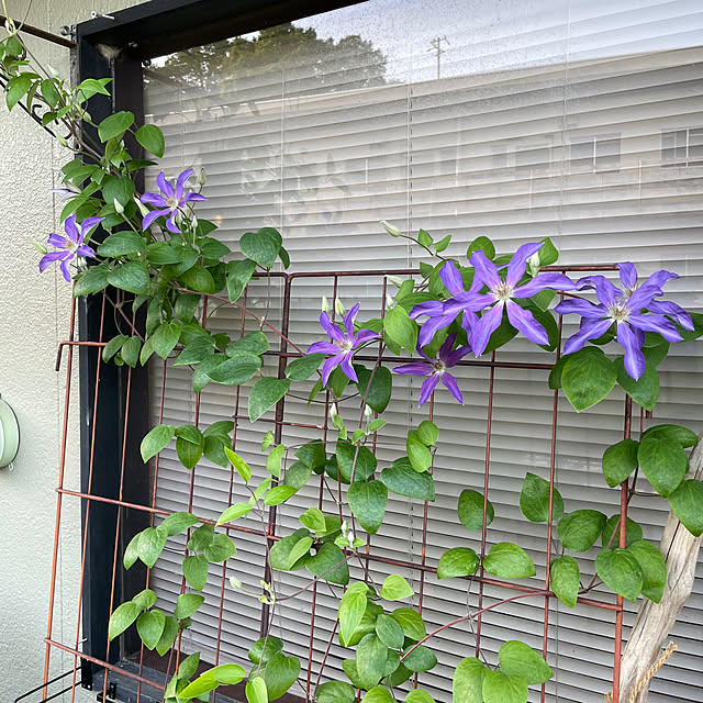 shin0719さんの部屋