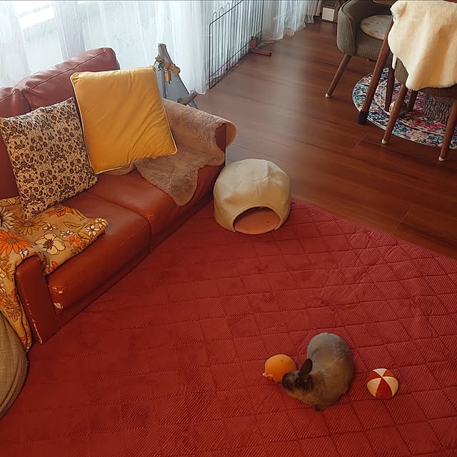 kirariさんの実例写真