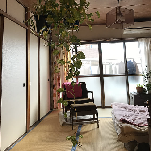 tamaさんの実例写真
