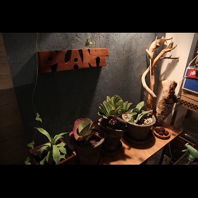 room401さんの実例写真
