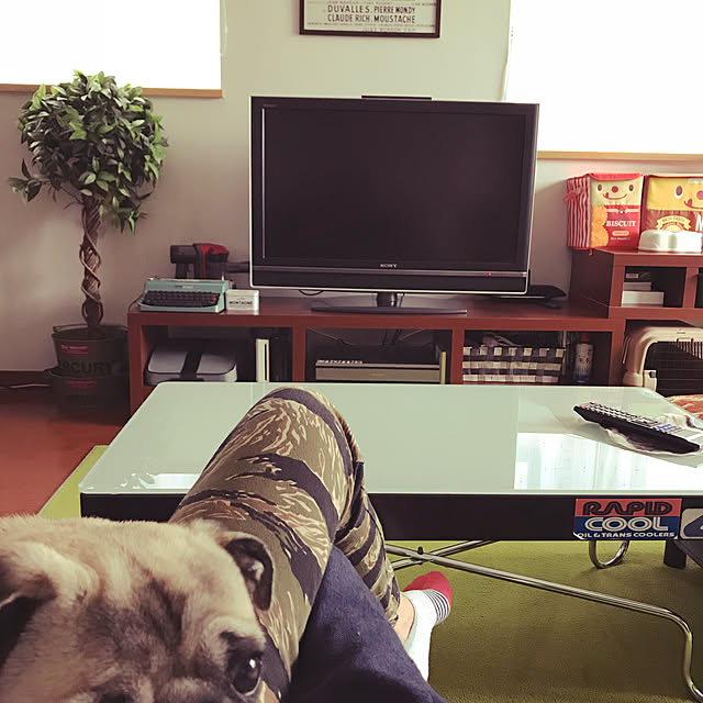 kellyさんの実例写真