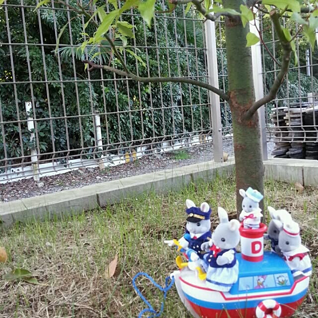 rponさんの実例写真