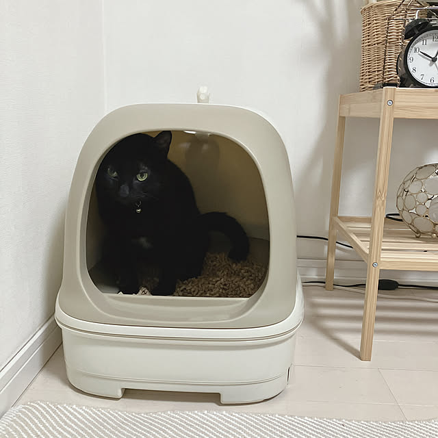 nekomiさんの部屋