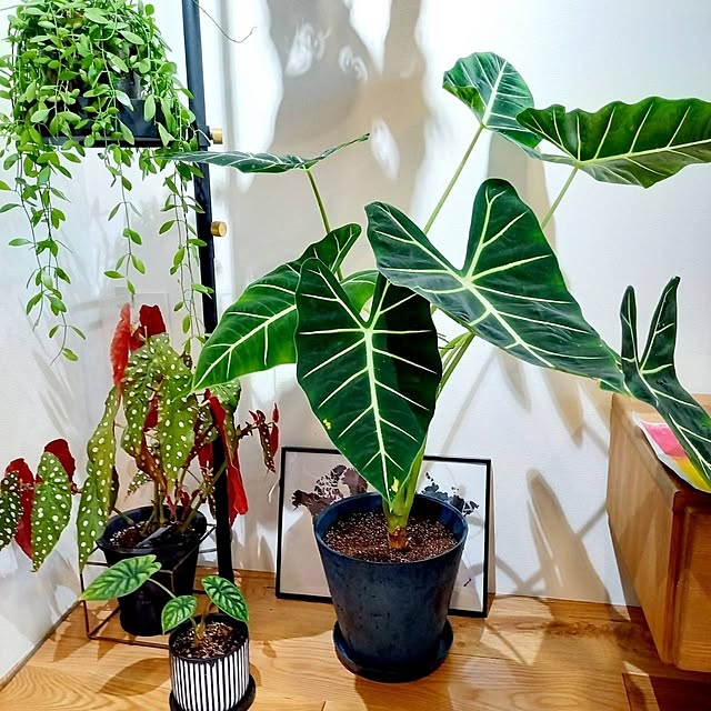 Rさんの部屋