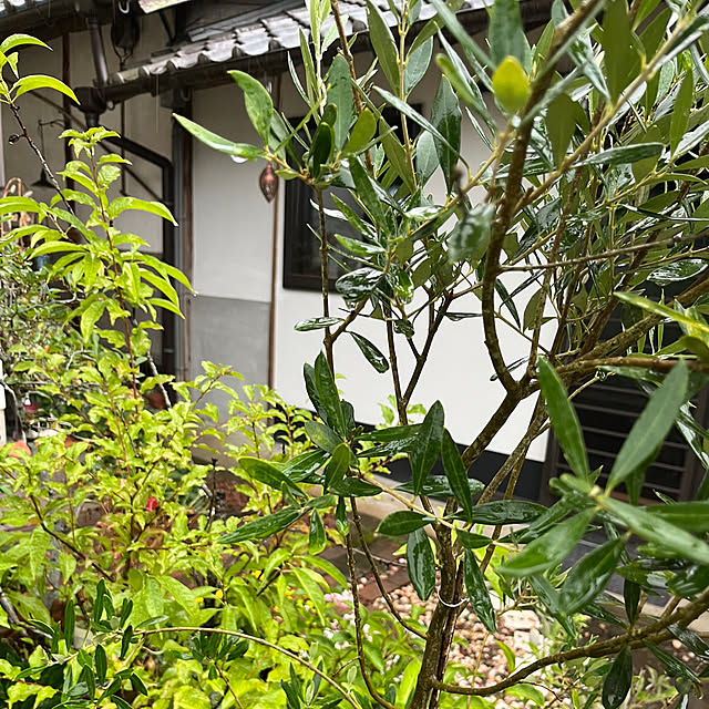 cotaさんの部屋