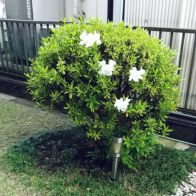 Renさんの実例写真
