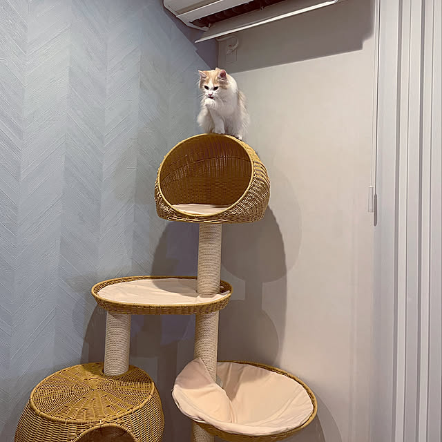 lovecofさんの実例写真