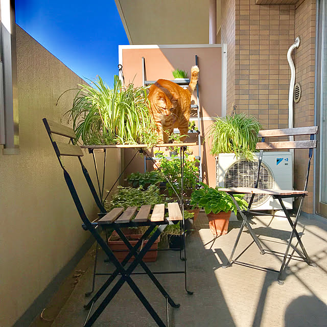 derazouさんの実例写真