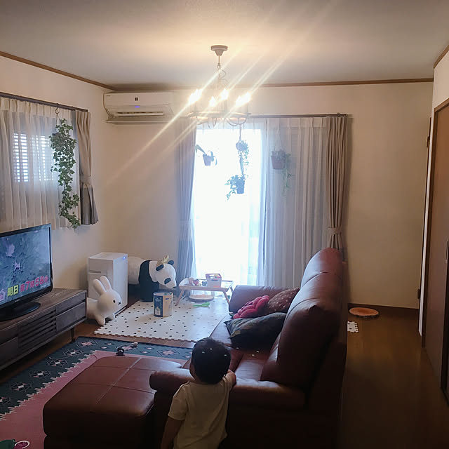 観葉植物/雑貨/カフェ風/多肉植物/フェイクグリーン...などのインテリア実例 - 2020-06-20 17:43:44